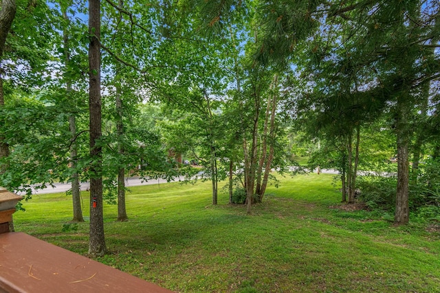 716 Wabash Pl, Nashville, TN 37221 - photo 66
