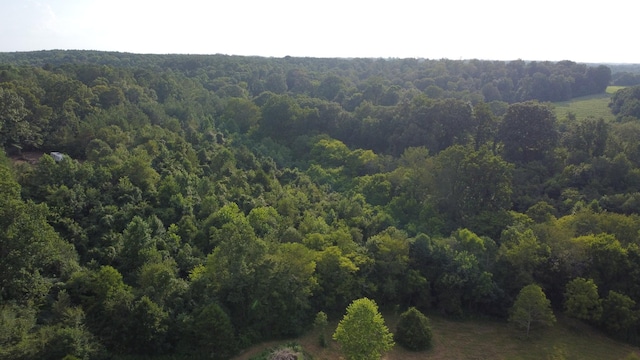 3 Harrison Rd, Five Points, TN 38457 - photo 50