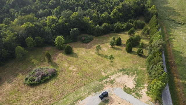 3 Harrison Rd, Five Points, TN 38457 - photo 48