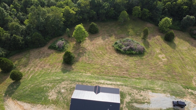 3 Harrison Rd, Five Points, TN 38457 - photo 47