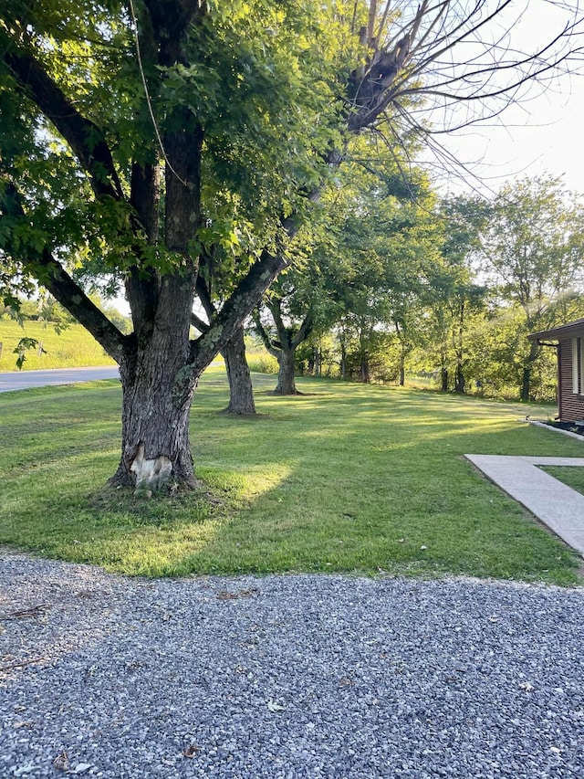 82 New Middleton Hwy, Gordonsville, TN 38563 - photo 66