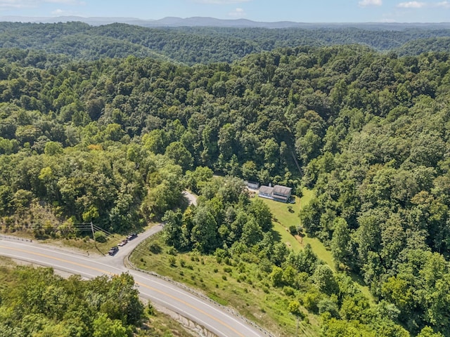 137 Lw Lacy Rd, Celina, TN 38551 - photo 59