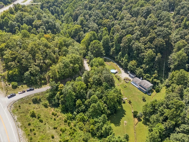 137 Lw Lacy Rd, Celina, TN 38551 - photo 61