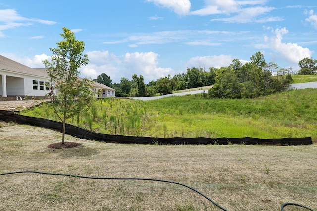 128 Holly Rdg, Antioch, TN 37013 - photo 37