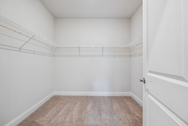 128 Holly Rdg, Antioch, TN 37013 - photo 28