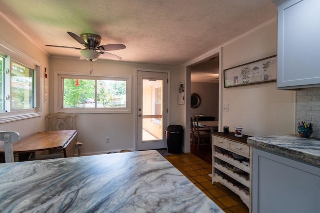 101 W Hills Ter, Dickson, TN 37055 - photo 28
