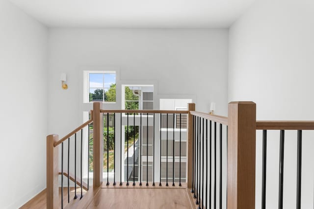 1814B Stewart Pl, Nashville, TN 37203 - photo 13