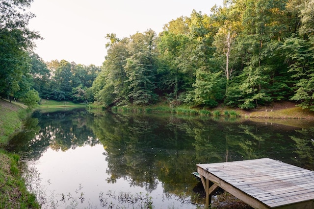 580 White Graves Rd, Ranger, GA 30734 - photo 4