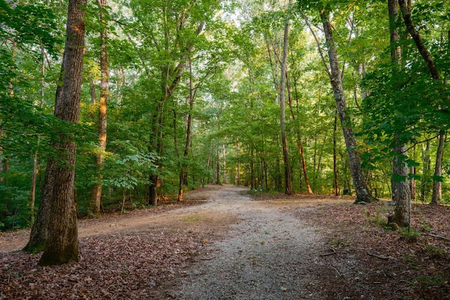 580 White Graves Rd, Ranger, GA 30734 - photo 53