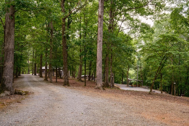 580 White Graves Rd, Ranger, GA 30734 - photo 3