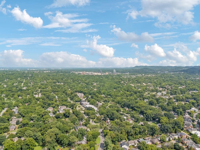 506 Windsor Park Ln, Nashville, TN 37205 - photo 59