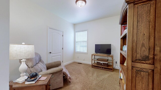 100 Artesa Dr, White House, TN 37188 - photo 25