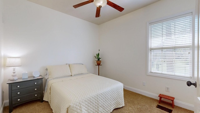 100 Artesa Dr, White House, TN 37188 - photo 23