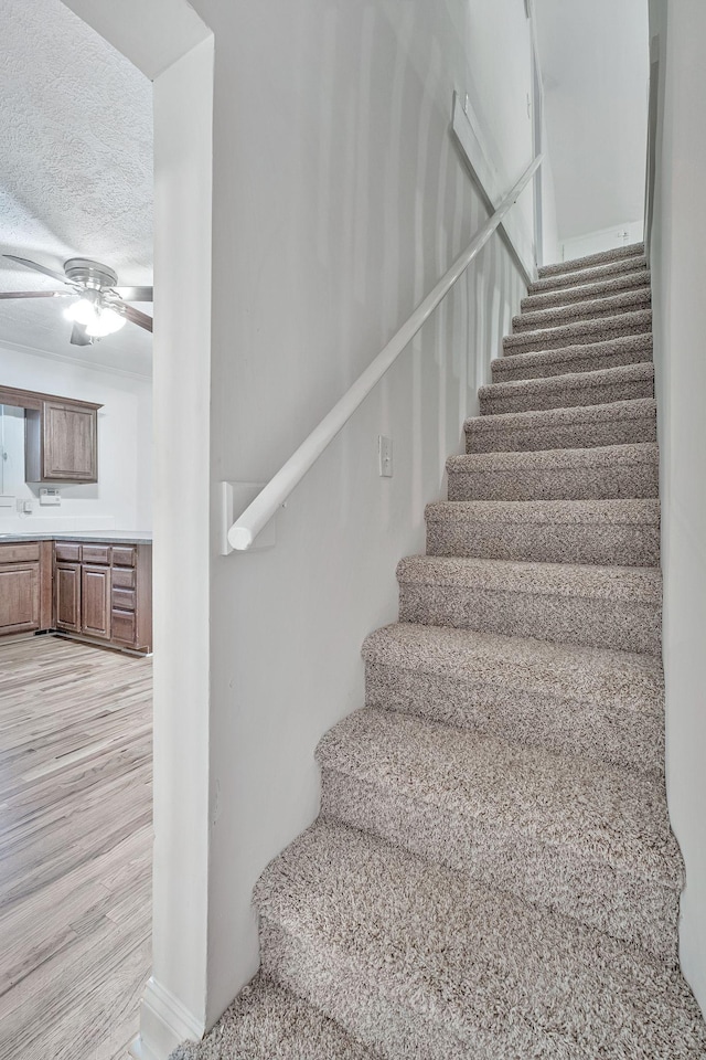 5109 Kentucky Ave, Nashville, TN 37209 - photo 20
