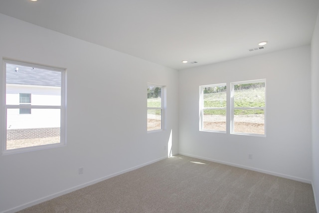 3044 Fernwood Ln, Columbia, TN 38401 - photo 38