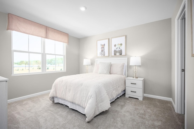 2203 Faraday Pass, Nashville, TN 37207 - photo 14