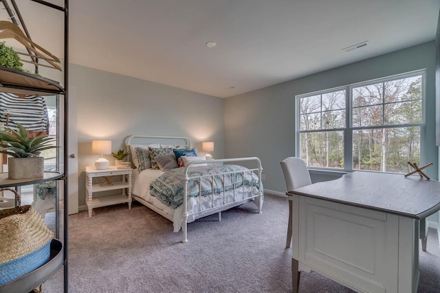 2062 Seiver Ln, White House, TN 37188 - photo 18