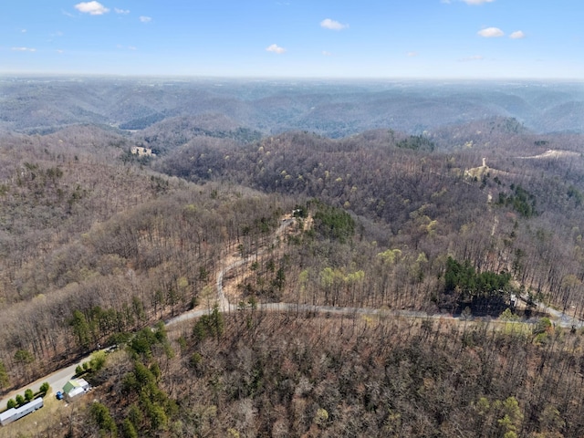 1529 Pea Ridge Rd, Liberty, TN 37095 - photo 52