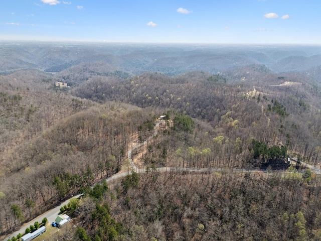 1529 Pea Ridge Rd, Liberty, TN 37095 - photo 46