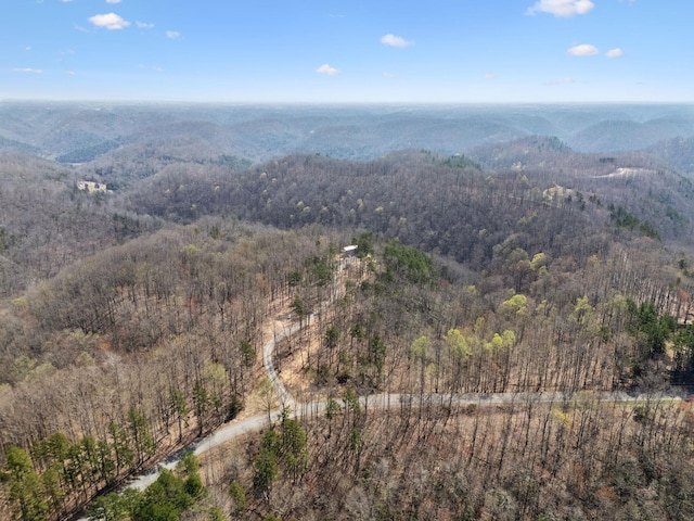 1529 Pea Ridge Rd, Liberty, TN 37095 - photo 51