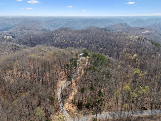 1529 Pea Ridge Rd, Liberty, TN 37095 - photo 50