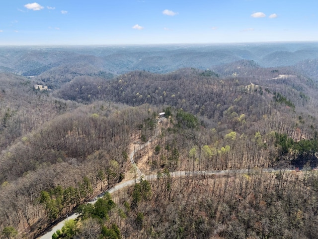 1529 Pea Ridge Rd, Liberty, TN 37095 - photo 45