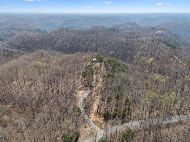 1529 Pea Ridge Rd, Liberty, TN 37095 - photo 47