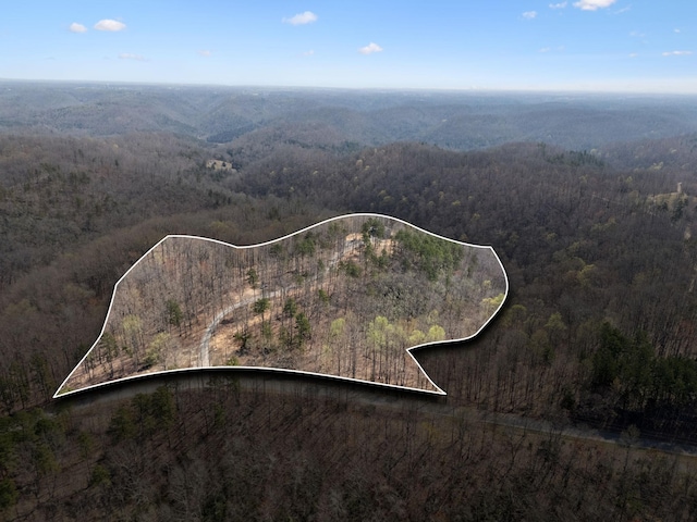 1529 Pea Ridge Rd, Liberty, TN 37095 - photo 44