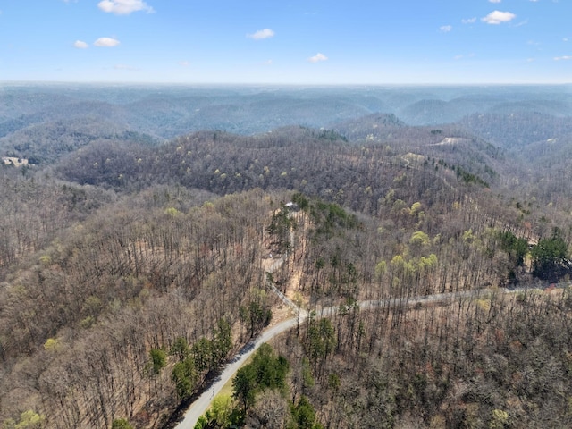 1529 Pea Ridge Rd, Liberty, TN 37095 - photo 53