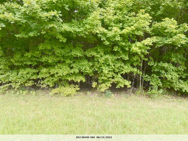 0 Old Dover Rd, Woodlawn, TN 37191 - photo 1