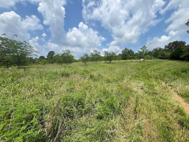 1658 Weems Rd, Southside, TN 37171 - photo 6