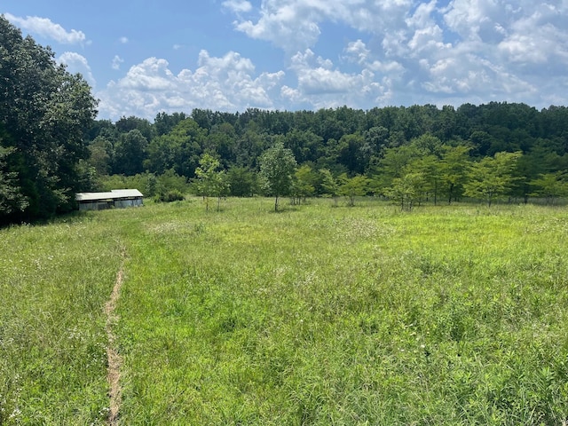 1658 Weems Rd, Southside, TN 37171 - photo 2