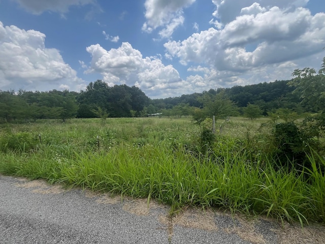 1658 Weems Rd, Southside, TN 37171 - photo 17