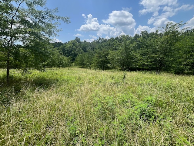 1658 Weems Rd, Southside, TN 37171 - photo 8