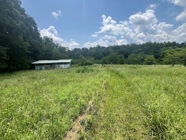 1658 Weems Rd, Southside, TN 37171 - photo 1