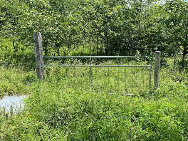 1658 Weems Rd, Southside, TN 37171 - photo 12