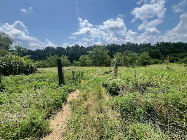 1658 Weems Rd, Southside, TN 37171 - photo 3