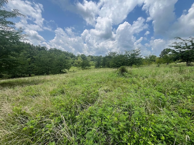 1658 Weems Rd, Southside, TN 37171 - photo 7