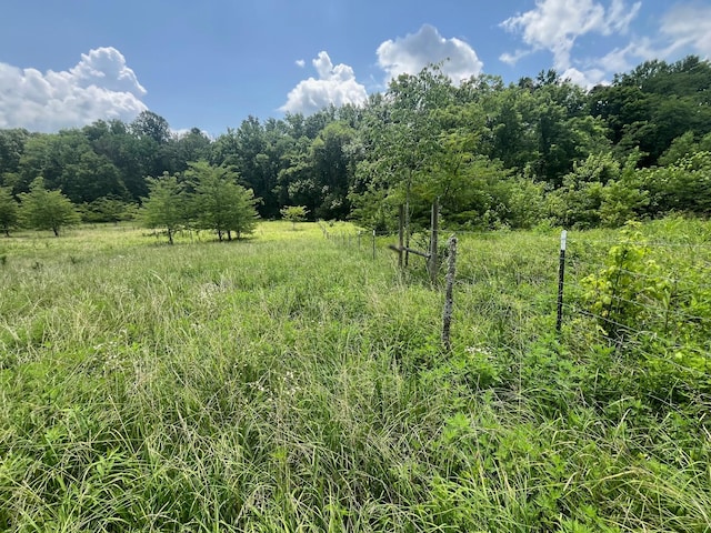 1658 Weems Rd, Southside, TN 37171 - photo 9