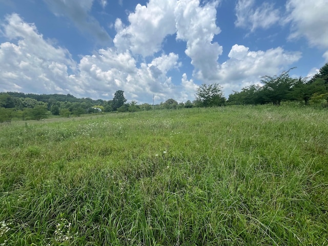 1658 Weems Rd, Southside, TN 37171 - photo 5