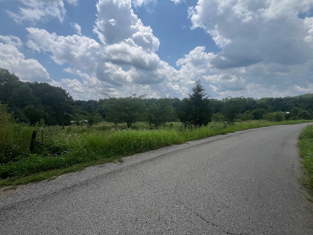 1658 Weems Rd, Southside, TN 37171 - photo 16
