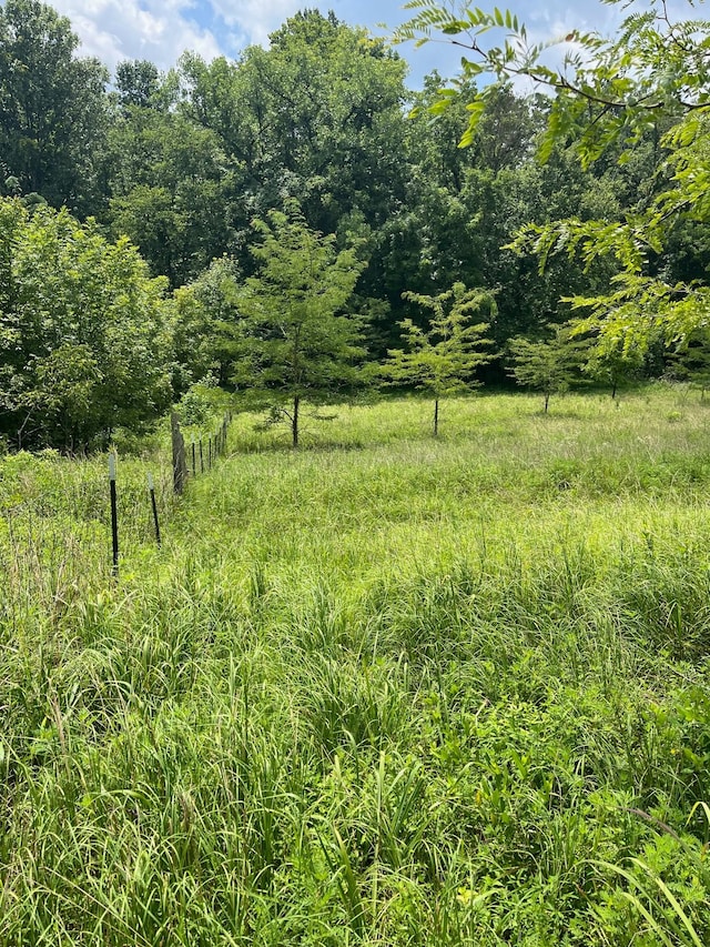 1658 Weems Rd, Southside, TN 37171 - photo 13