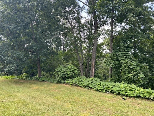 0 Mount View Dr, Tunnel Hill, GA 30755 - photo 1