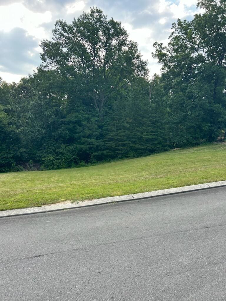 0 Fieldstone Dr, Tunnel Hill, GA 30755 - photo 1