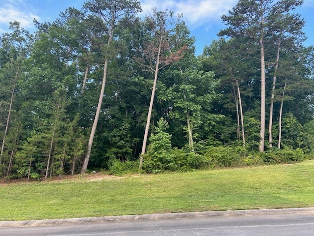 0 Dockwell Dr, Tunnel Hill, GA 30755 - photo 1