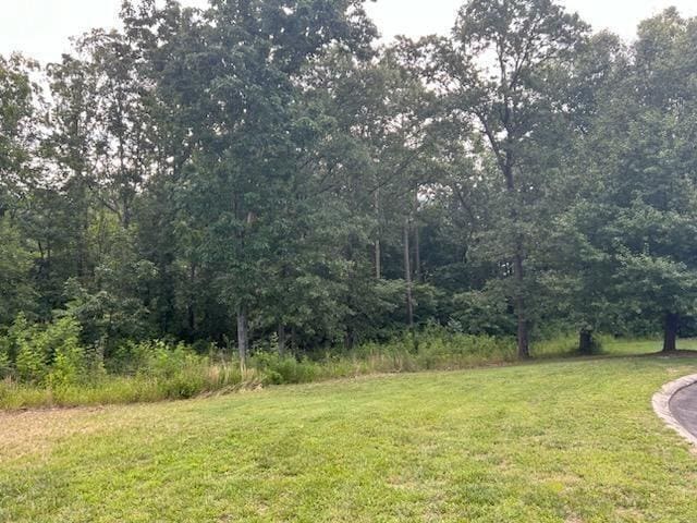 0 Dockwell Dr, Tunnel Hill, GA 30755 - photo 2