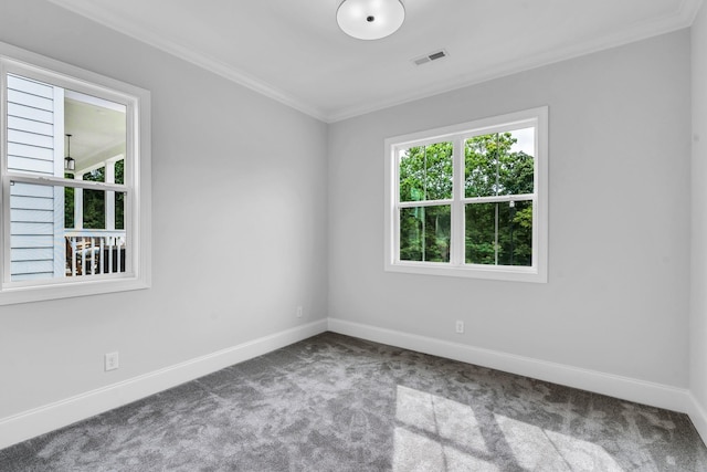 7139 Frances St, Fairview, TN 37062 - photo 8