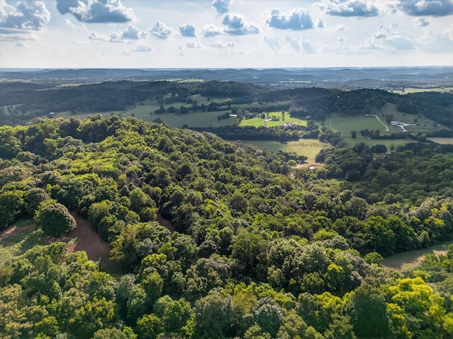 53 Daves Hollow Rd, Fayetteville, TN 37334 - photo 6