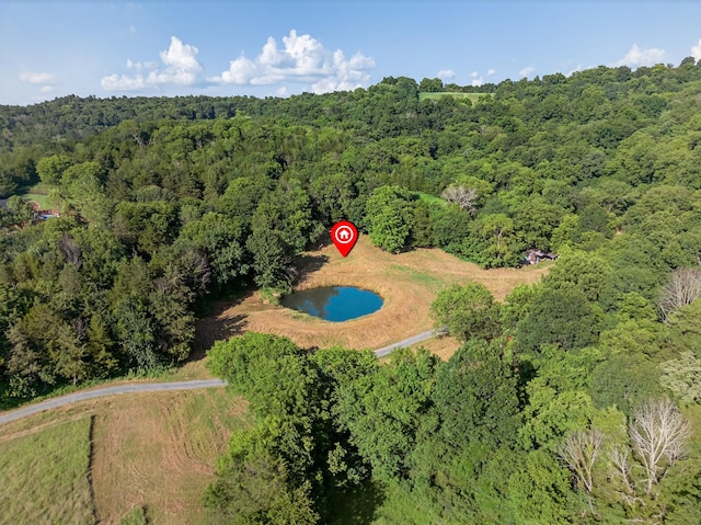 53 Daves Hollow Rd, Fayetteville, TN 37334 - photo 10