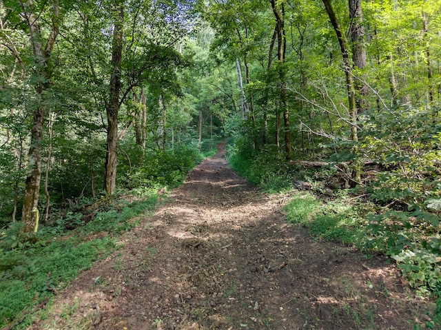 53 Daves Hollow Rd, Fayetteville, TN 37334 - photo 28